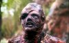 toxic-avenger.jpg