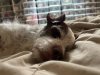 IMG_6566.jpeg