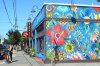 IMG_7429.jpeg