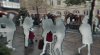 IMG_4749.jpeg