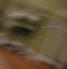 IMG_8745.jpeg