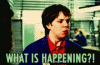 50421351099951237441694034691865.gif