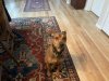 IMG_1085.jpeg