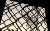 IMG_6433.jpeg