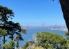 IMG_1235.jpeg