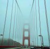 IMG_1237.jpeg
