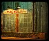 IMG_1289.jpeg