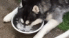 upload_2024-1-12_15-55-30.gif