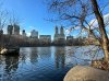 IMG_1778.jpeg
