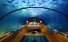 underwater bed.jpg