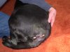 DSCN2435.JPG
