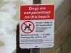 dogs on the beach.jpg