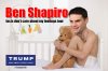 BenShapiroTour2.jpg