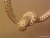 knot.jpg