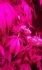 20160401_153008_resized.jpg