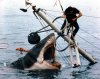 jaws.jpg