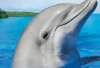 upload_2024-2-12_15-50-41.jpeg