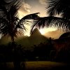 IMG_2969.jpeg