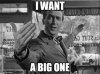 upload_2024-4-17_8-21-36.jpeg