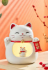upload_2024-5-12_8-5-6.png