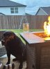 IMG_2150.jpeg