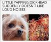 IMG_6579.jpeg