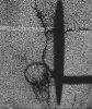 IMG_7511.jpeg