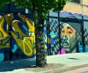 IMG_7535.jpeg