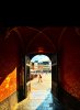 IMG_8222.jpeg