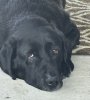 IMG_2212.jpeg
