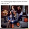 IMG_0131.jpeg