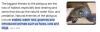 upload_2024-9-11_9-8-22.png