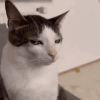 sus-suspicious.png
