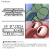 upload_2024-10-16_11-49-47.png