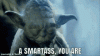 upload_2024-10-21_21-23-4.gif