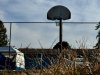 IMG_2297.jpeg