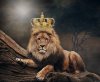 king-3832148_640.jpg