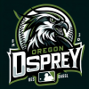 upload_2024-10-31_19-36-28.png