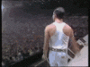 upload_2024-11-10_13-0-34.gif