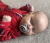 IMG_2674.jpeg