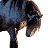 images__14_-removebg-preview.png