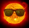 realsuninglasses.jpg