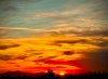IMG_4221.jpeg