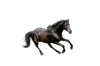 Maverick+3-5-removebg-preview.png