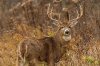 Miller-Before-Rut-lead-1200x800.jpg