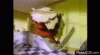 upload_2025-1-23_11-57-15.gif