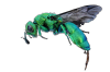 IMG_20250124_131423_01.png