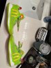 IMG_9241.jpeg