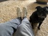 IMG_9488.jpeg