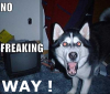 NoFreakinWay.png